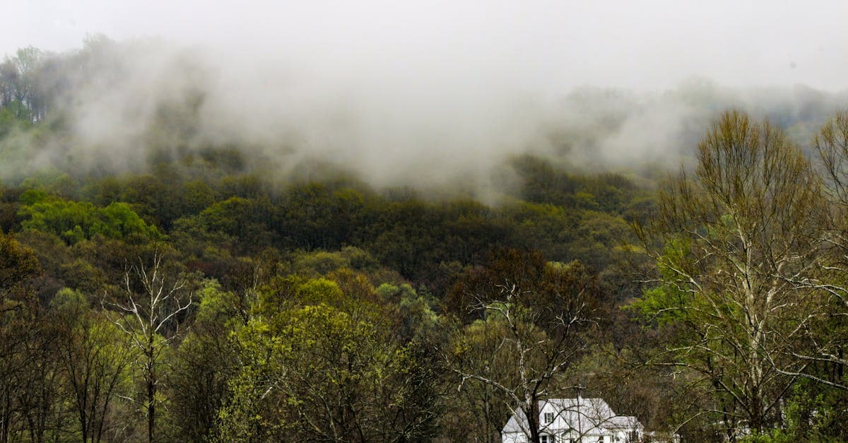 Cover Image for Embrace the Homestead Life: A Guide to Sustainable Living and Self-Sufficiency