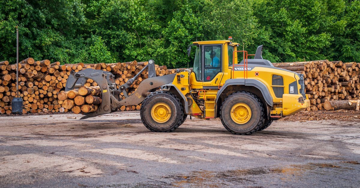 Cover Image for Mastering Tree Management: Best Practices for Sustainable Landscapes