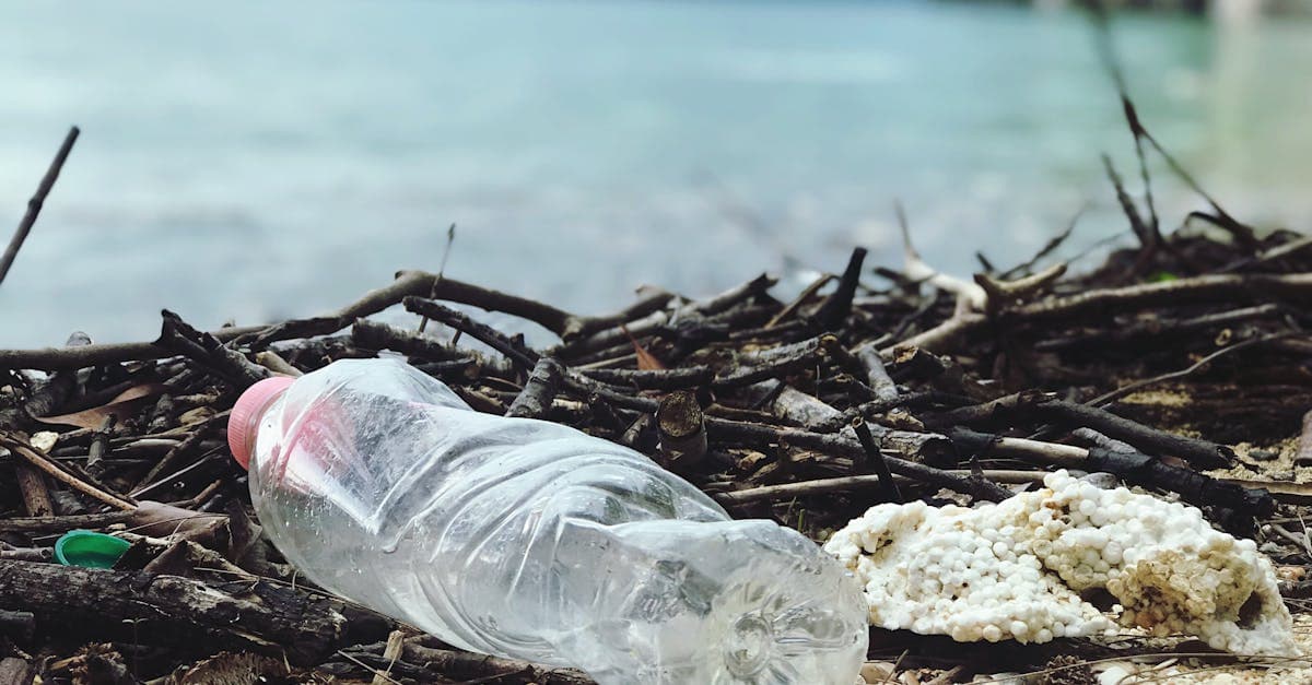 Cover Image for Waste No More: Innovative Strategies for Effective Waste Management