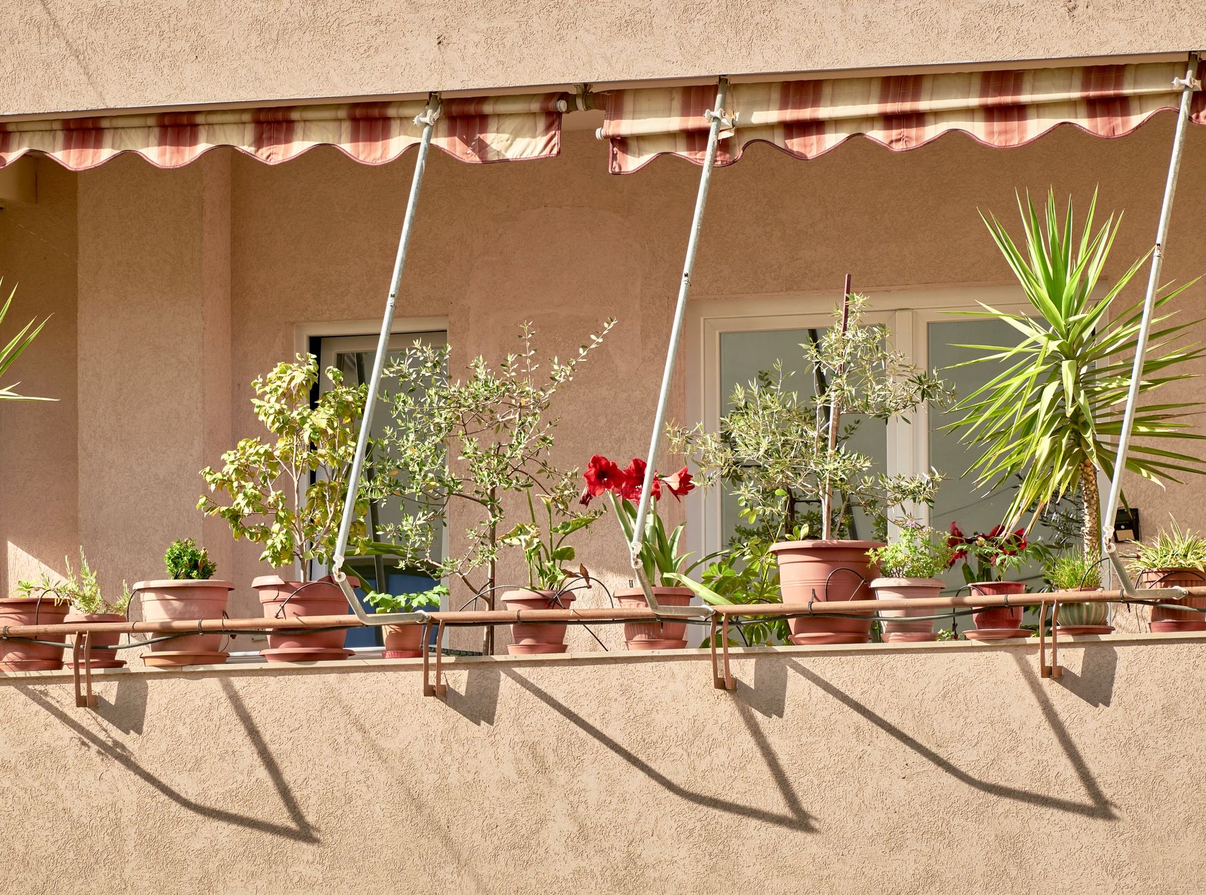 Charming Tirana balcony adorned with diverse potted plants, creating a vibrant outdoor space.